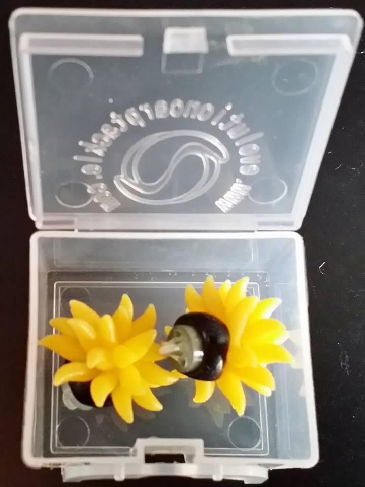 Rig 2015 - image1111.jpg